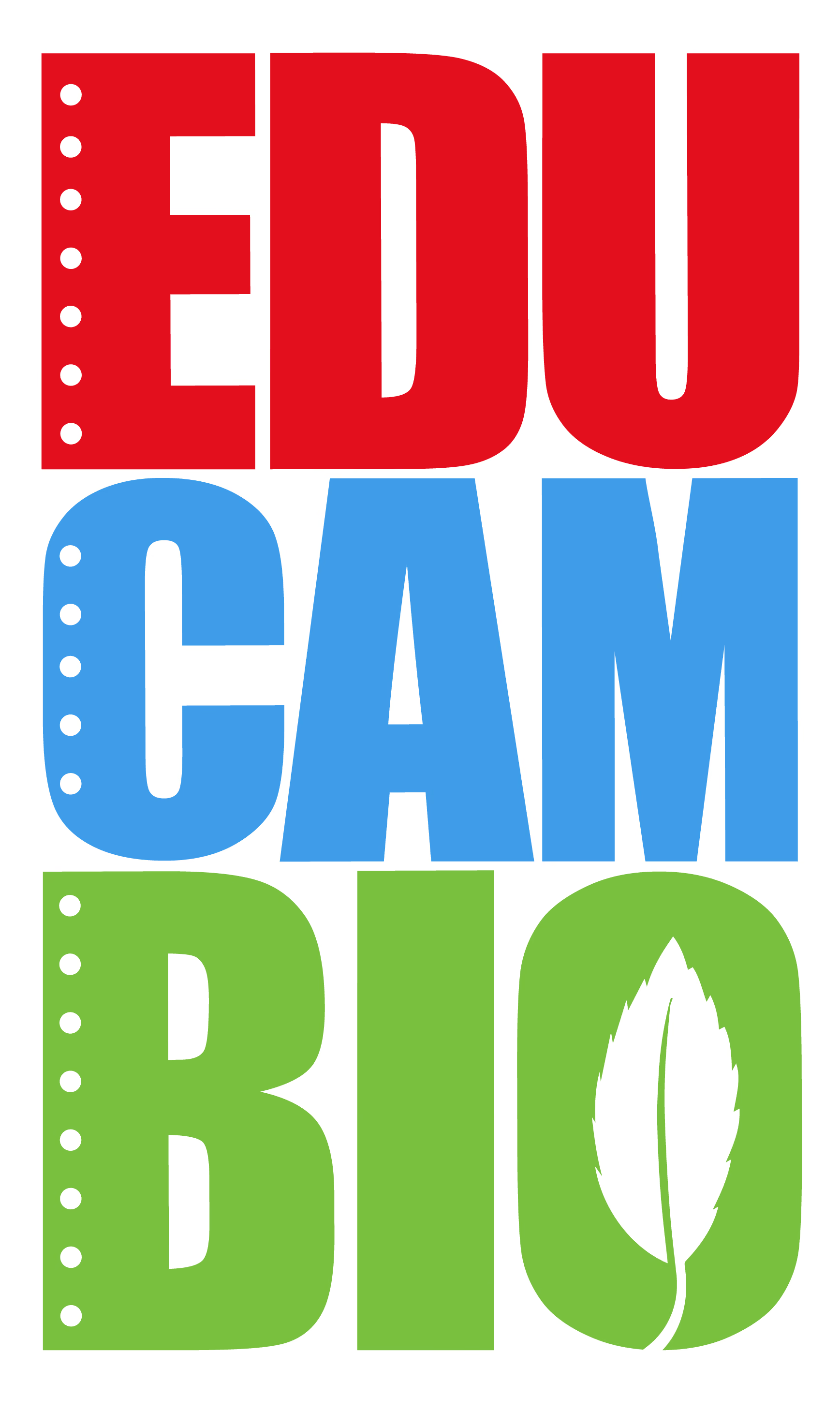 Logo de Educambio